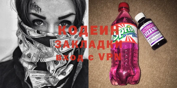 прущий лед Бородино