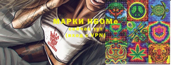 прущий лед Бородино