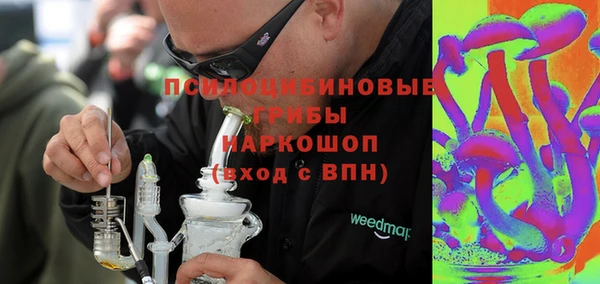 прущий лед Бородино