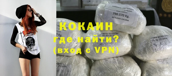 прущий лед Бородино