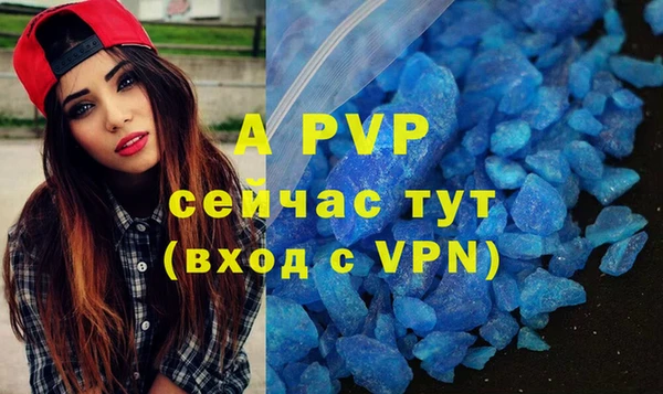 прущий лед Бородино