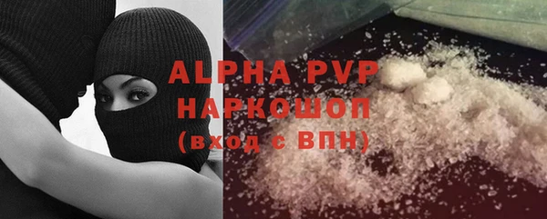 прущий лед Бородино